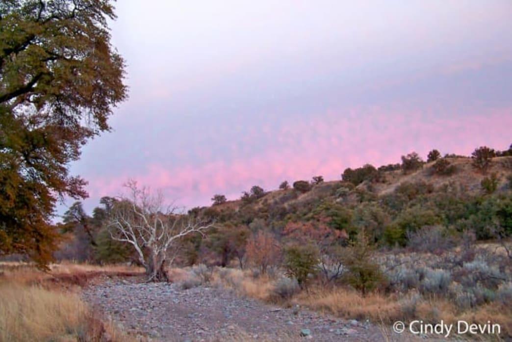 16 Incredible Drive Up Campsites Hikers & Backpackers Will Love - HappyLuxe